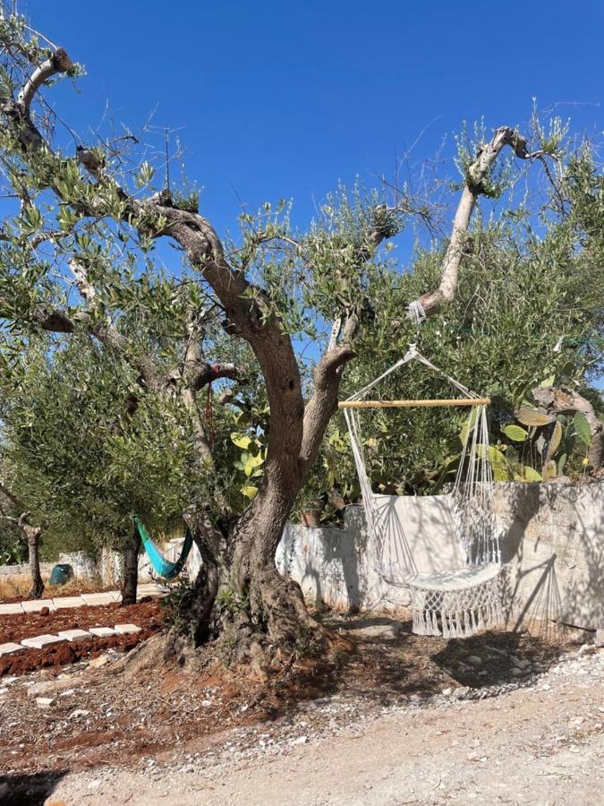 Holiday home Trullo Philemon *